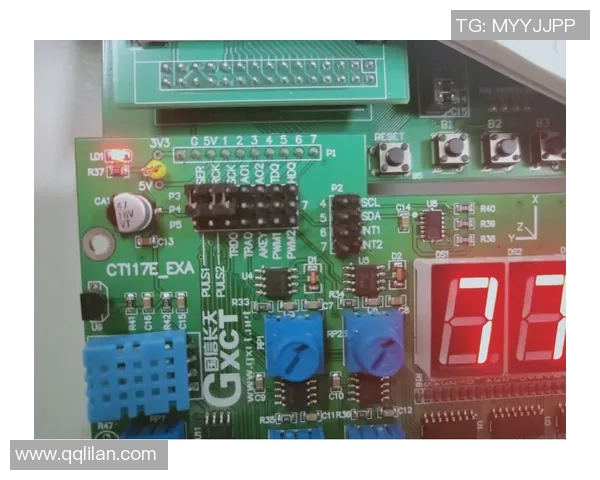 重庆排球队战术解析：从基础训练到比赛策略的全面探讨