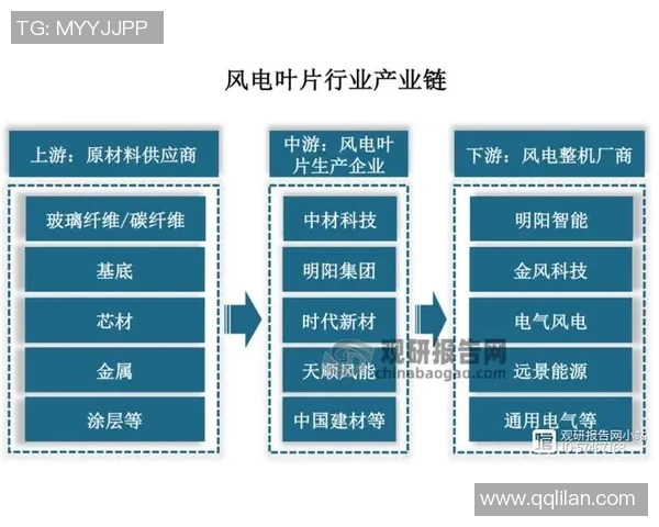 重庆羽毛球队比赛经验深度对比分析及其对未来发展的影响探讨 重庆羽毛球队比赛经验深度对比分析及其对未来发展的影响探讨