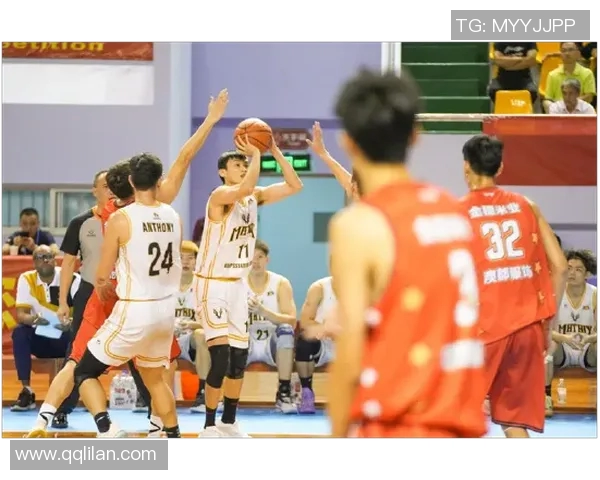 北京篮球队在联合会杯中的团队协作表现分析与点评